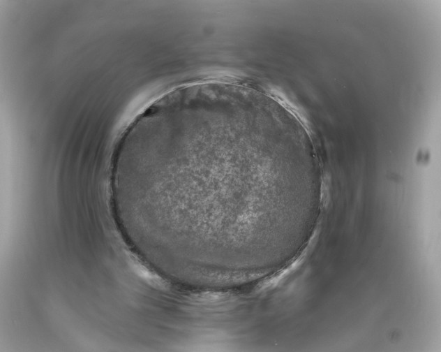 X0000089960101200707201957