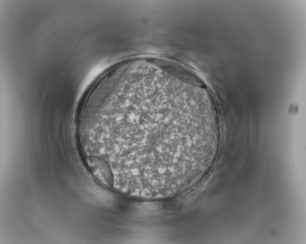 X0000089960102200707201957