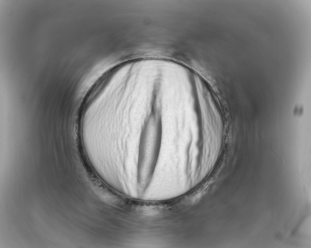 X0000089960103200707201957