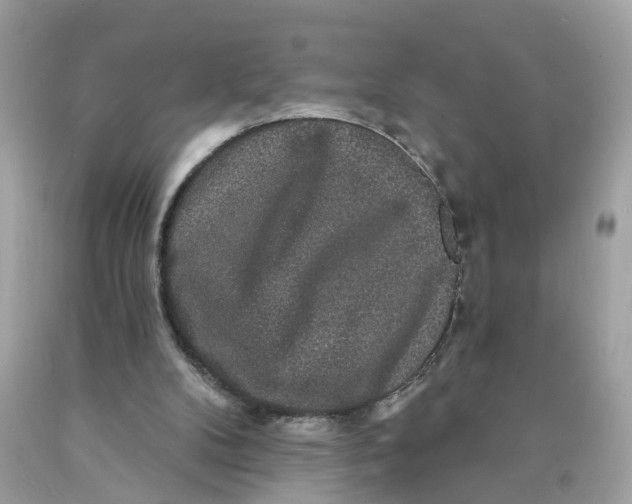 X0000089960104200707201957