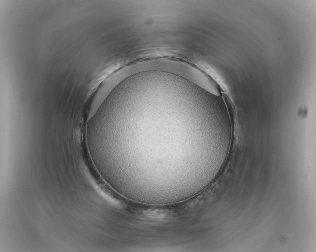 X0000089960105200707201957