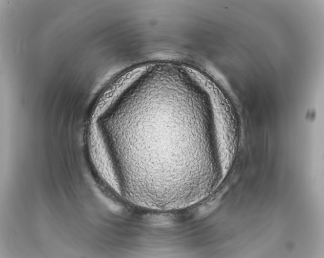 X0000089960106200707201957