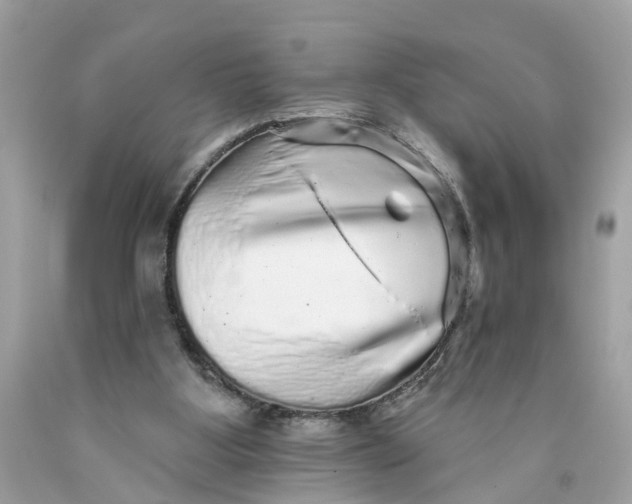 X0000089960107200707201957