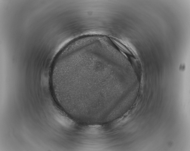 X0000089960108200707201957