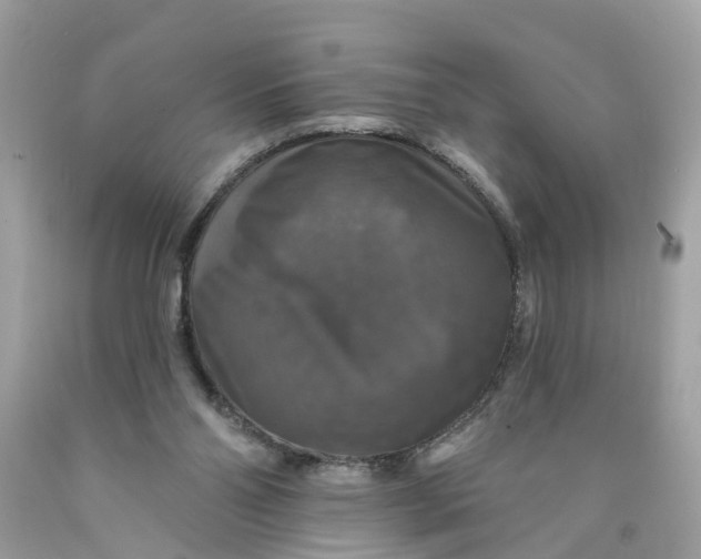 X0000089960110200707201957