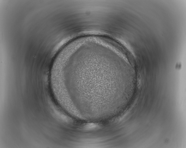 X0000089960111200707201957