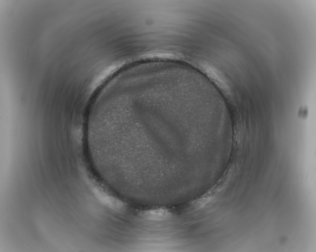 X0000089960112200707201957