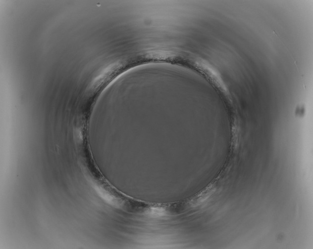 X0000089960114200707201957