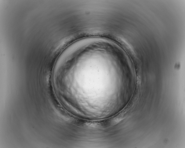 X0000089960115200707201957