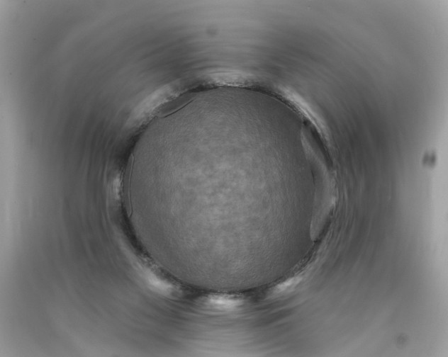 X0000089960117200707201957