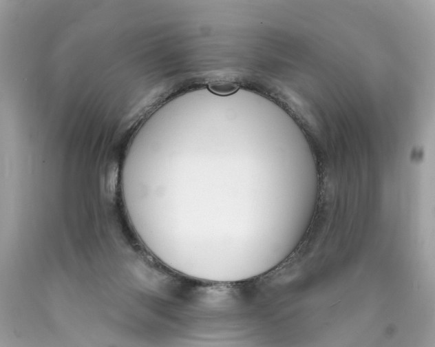 X0000089960118200707201957