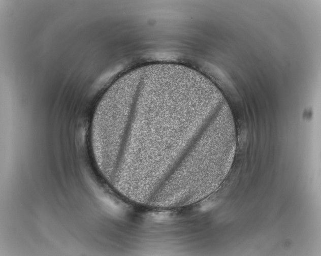 X0000089960120200707201957