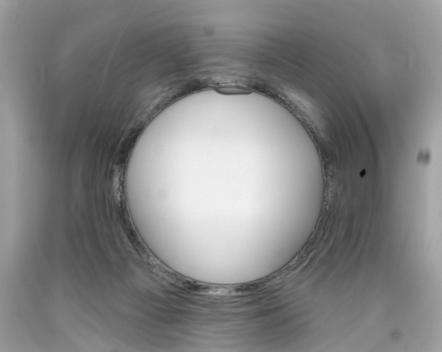 X0000089960121200707201957