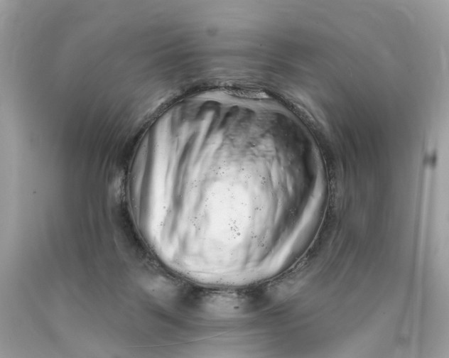 X0000089960123200707201957