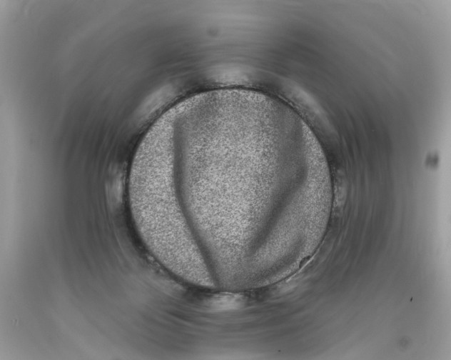 X0000089960124200707201957