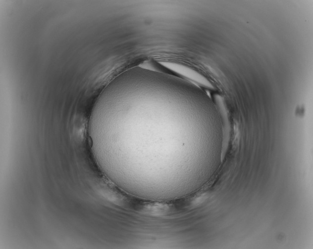 X0000089960125200707201957