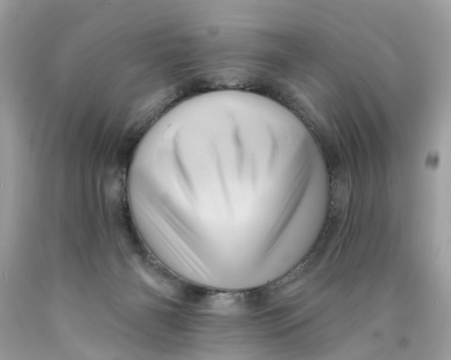 X0000089960126200707201957