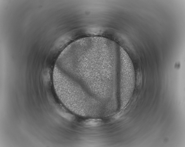 X0000089960128200707201957