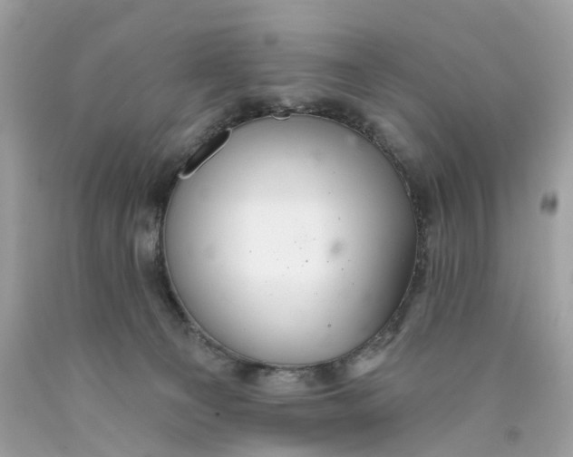 X0000089960129200707201957