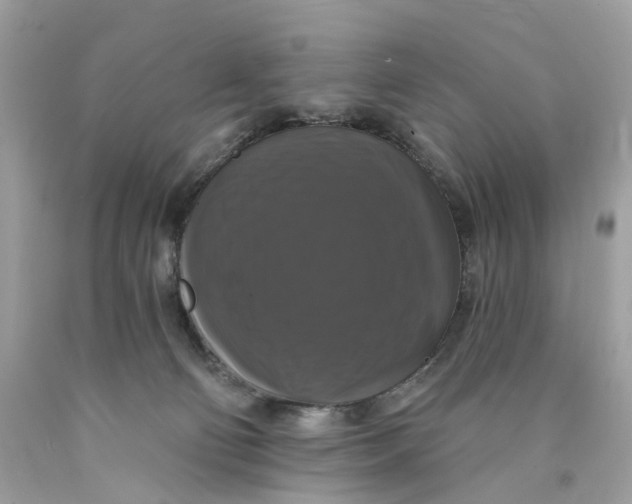 X0000089960130200707201957