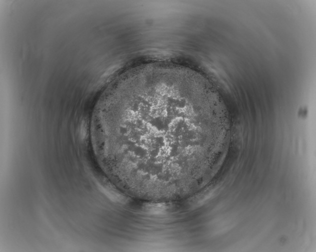 X0000089960131200707201957