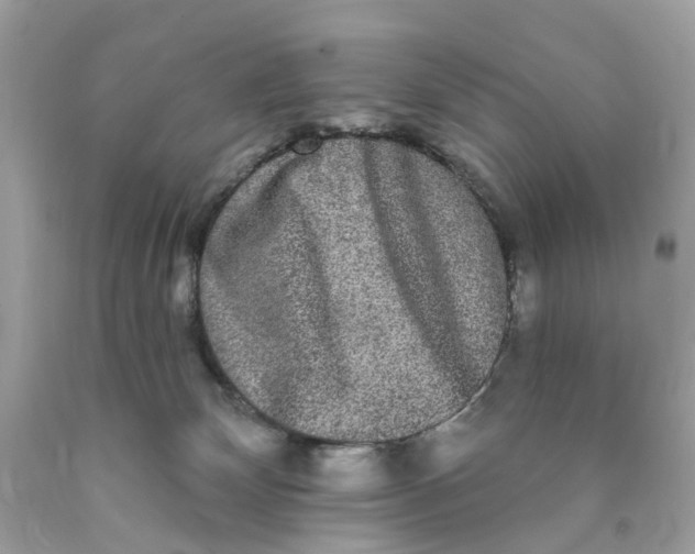 X0000089960132200707201957