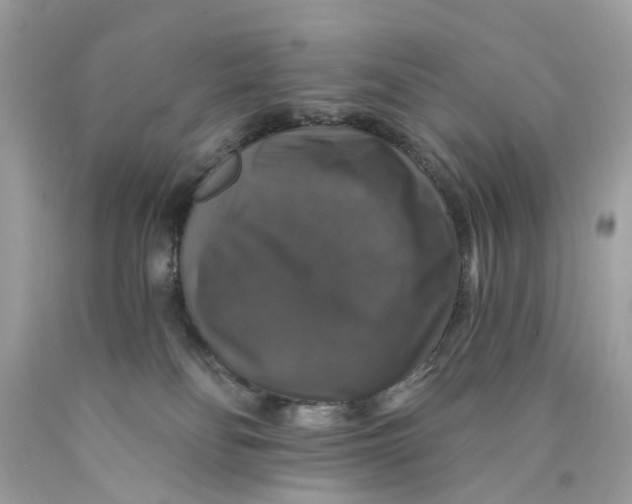 X0000089960134200707201957