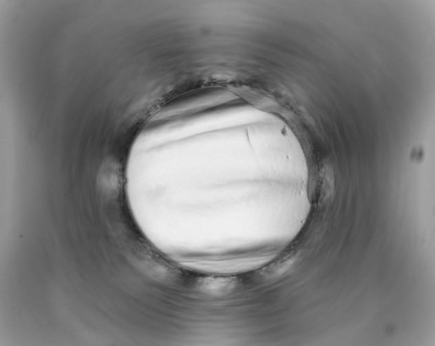 X0000089960135200707201957