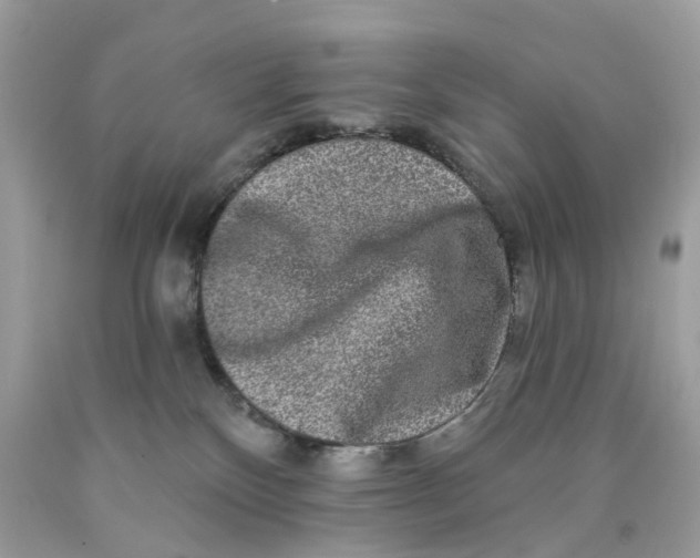 X0000089960136200707201957