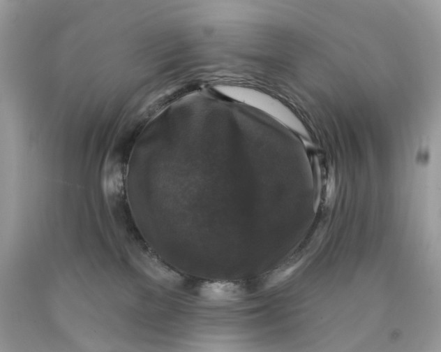 X0000089960137200707201957