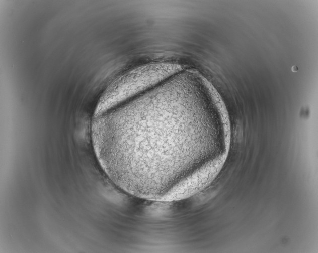 X0000089960138200707201957