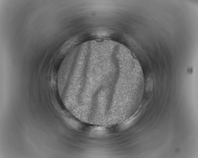 X0000089960140200707201957