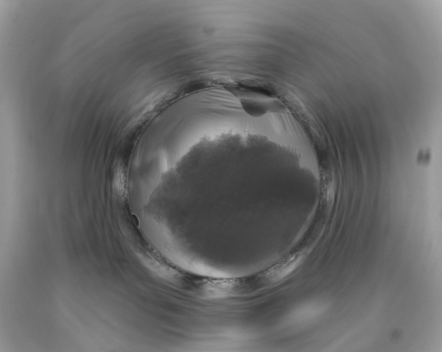 X0000089960143200707201957