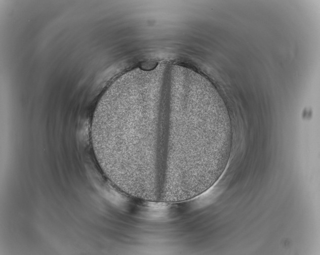 X0000089960144200707201957