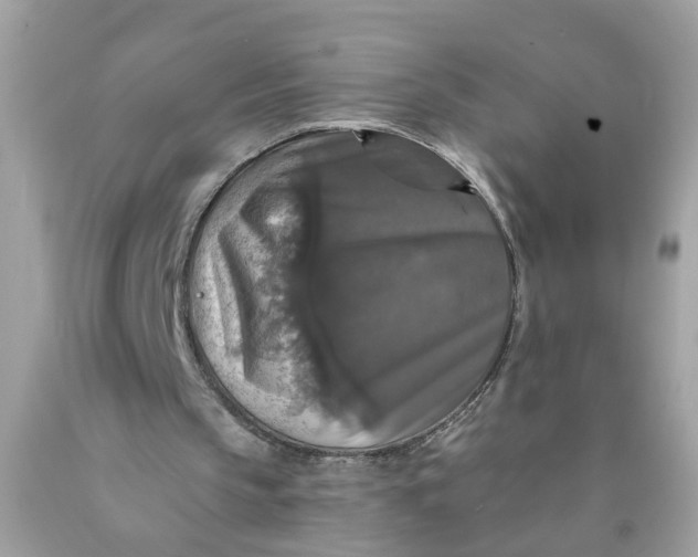 X0000089960145200707201956