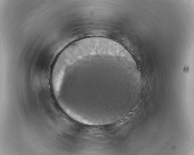 X0000089960146200707201956