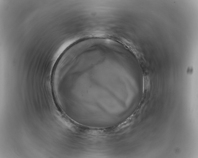 X0000089960147200707201956