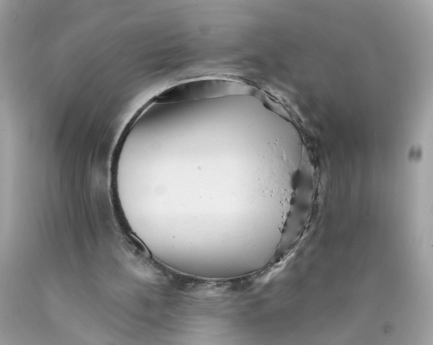 X0000089960148200707201956