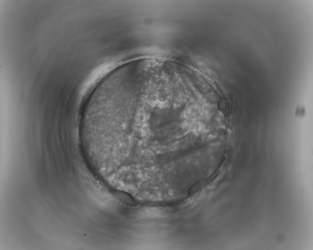 X0000089960149200707201956