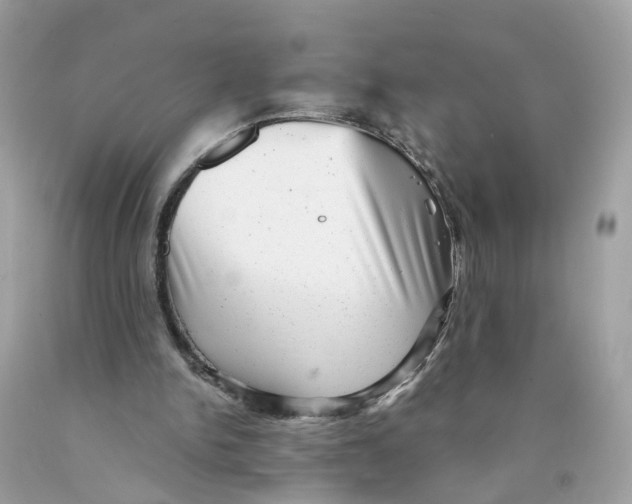 X0000089960150200707201956