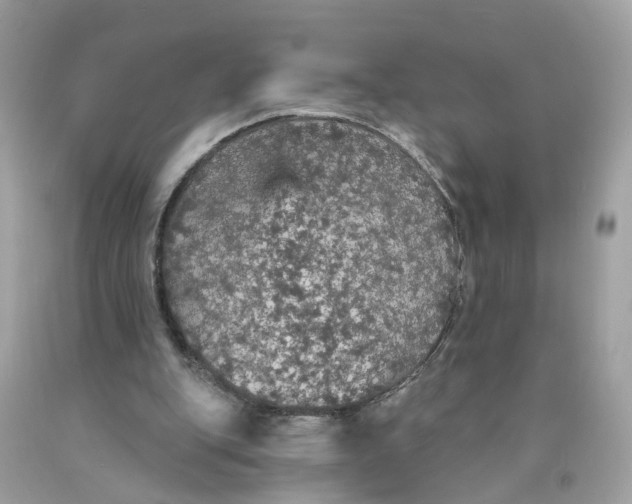 X0000089960151200707201956