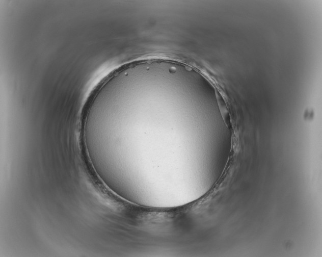 X0000089960152200707201956