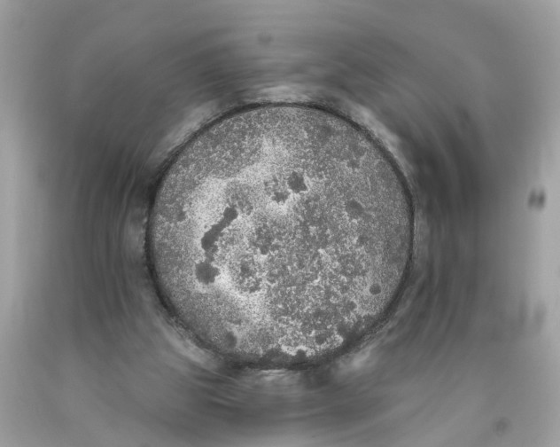 X0000089960153200707201956