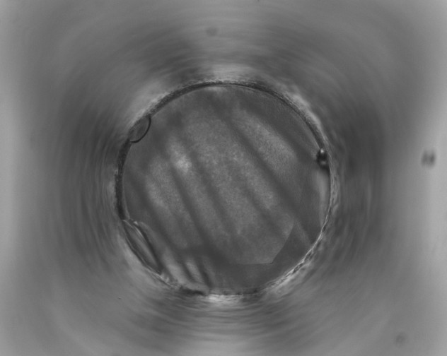 X0000089960154200707201956