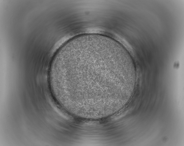 X0000089960155200707201956