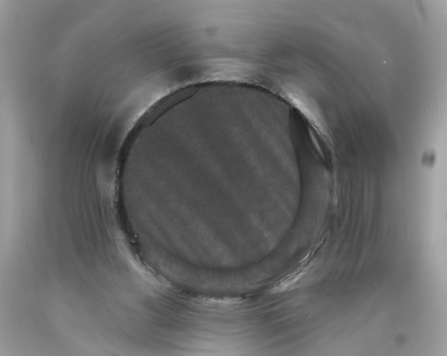 X0000089960156200707201956