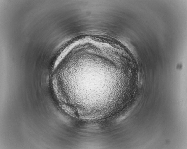 X0000089960157200707201956