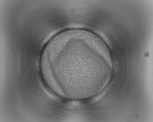 X0000089960159200707201956