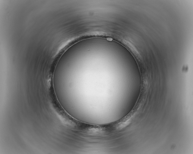 X0000089960160200707201956