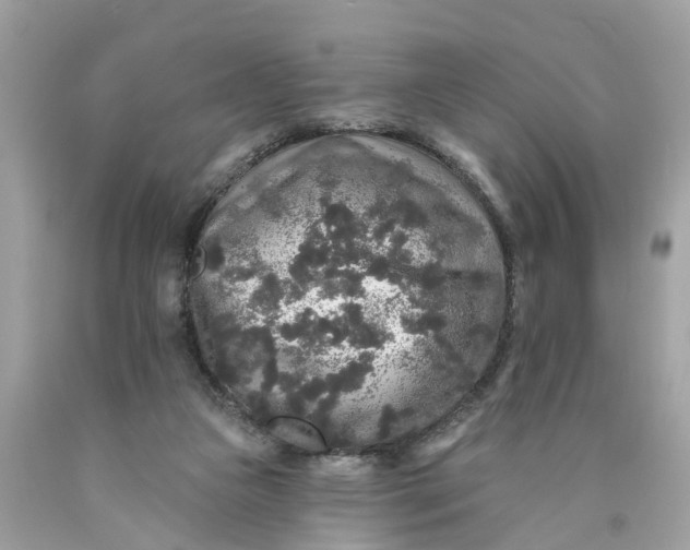 X0000089960161200707201956